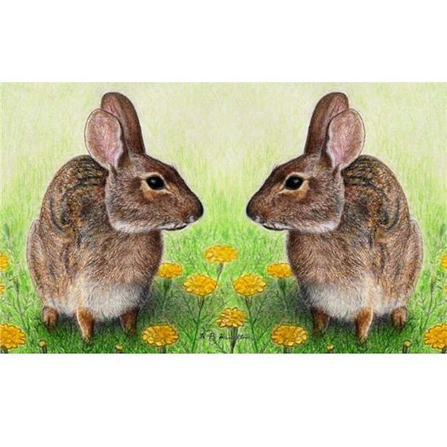 Betsy Drake DM053 18 x 26 in. Rabbits Door Mat
