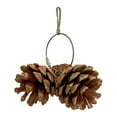 thumbnail image 2 of Parrot Toys under $5! Yannianjz 1/3/6 Pcs Parrot Chew Toy - Natural Pine Cones Parrot Chewing Toys Bird Toys Hangable Bird Cage Toy for Cage for Small and Medium-Sized Macaws, Cockatoos, Parakeet, 2 of 5