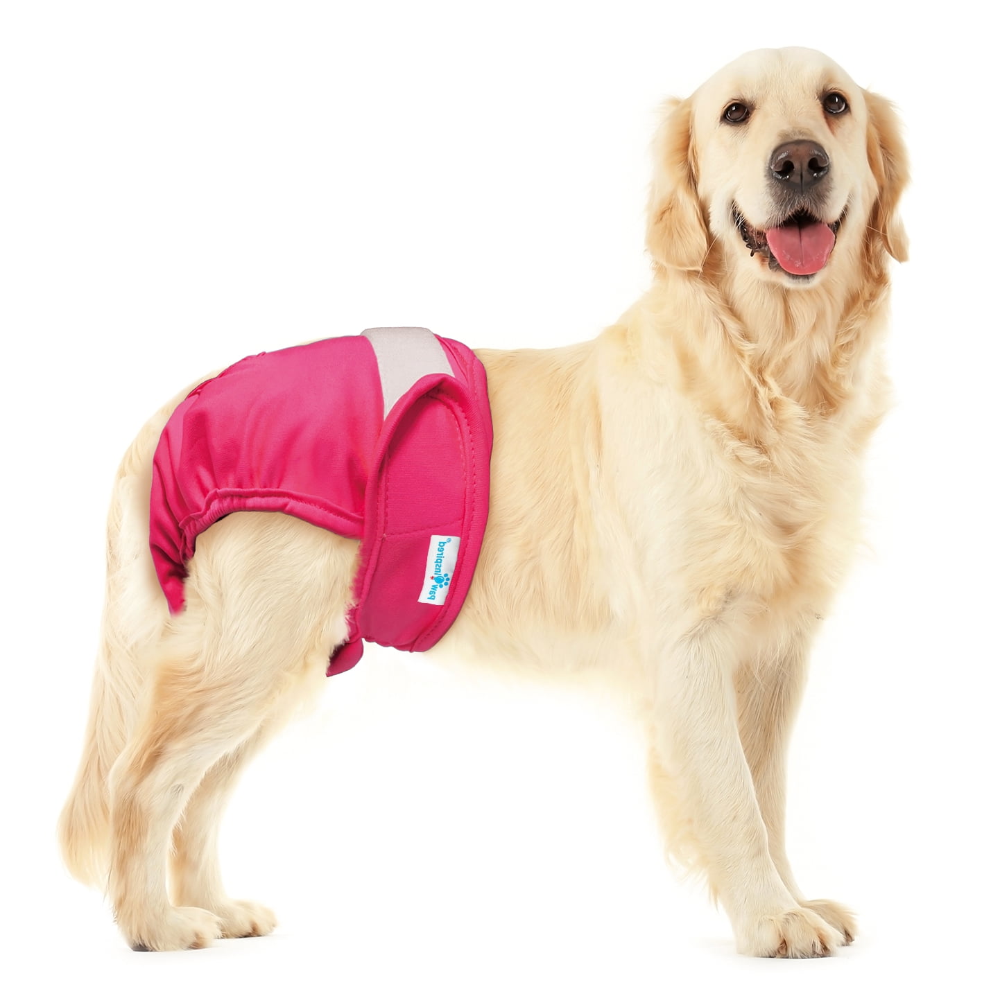 Paw Inspired 2ct Washable Reusable Dog Diapers for Female Doggie, Puppy, Cat | Cloth Diapers for Dogs in Heat, Pet Diapers | Incontinence Diapers that Stay On (Assorted (White Lining), X-Large)