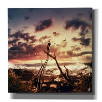 Cortesi Home 'King For A Day' by Mario Sanchez Nevado, Canvas Wall Art, 26"x26"