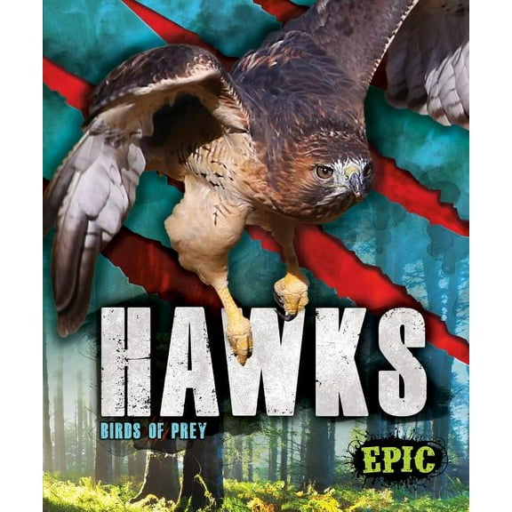 Birds of Prey Hawks: Birds of Prey, (Hardcover)