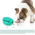 thumbnail image 3 of Dog Chew Toys With Bell, Suction Cup Teething Rope Toys Compatible With Small Dogs -hhcx, 3 of 5