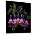 thumbnail image 2 of Designart "Purple and Black Fuchsia Flower Cascade" Floral Framed Wall Art - Traditional Pink Fuschia Living Room Framed Canvas Art, 2 of 6