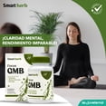 thumbnail image 3 of Smart Herb Paquete Focus GMB, Suplemento Alimenticio, 2 piezas (30 Cápsulas c/u) con Ginseng, Melena de León y Bocopa para Concentración, Memoria y Rendimiento Mental, 3 of 9