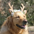 thumbnail image 3 of Mascota Navidad Diadema Reno Astas Headwear con Yuyangstore Cinta de perro de perro, 3 of 8