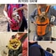 thumbnail image 3 of Pet Dog Carrier Bag Carrier For Dogs Backpack  Portable Travel Breathable Dog Bag Outdoor Dog Carrier Bag Pet Carrying Supplies ShopWise Round, 3 of 11