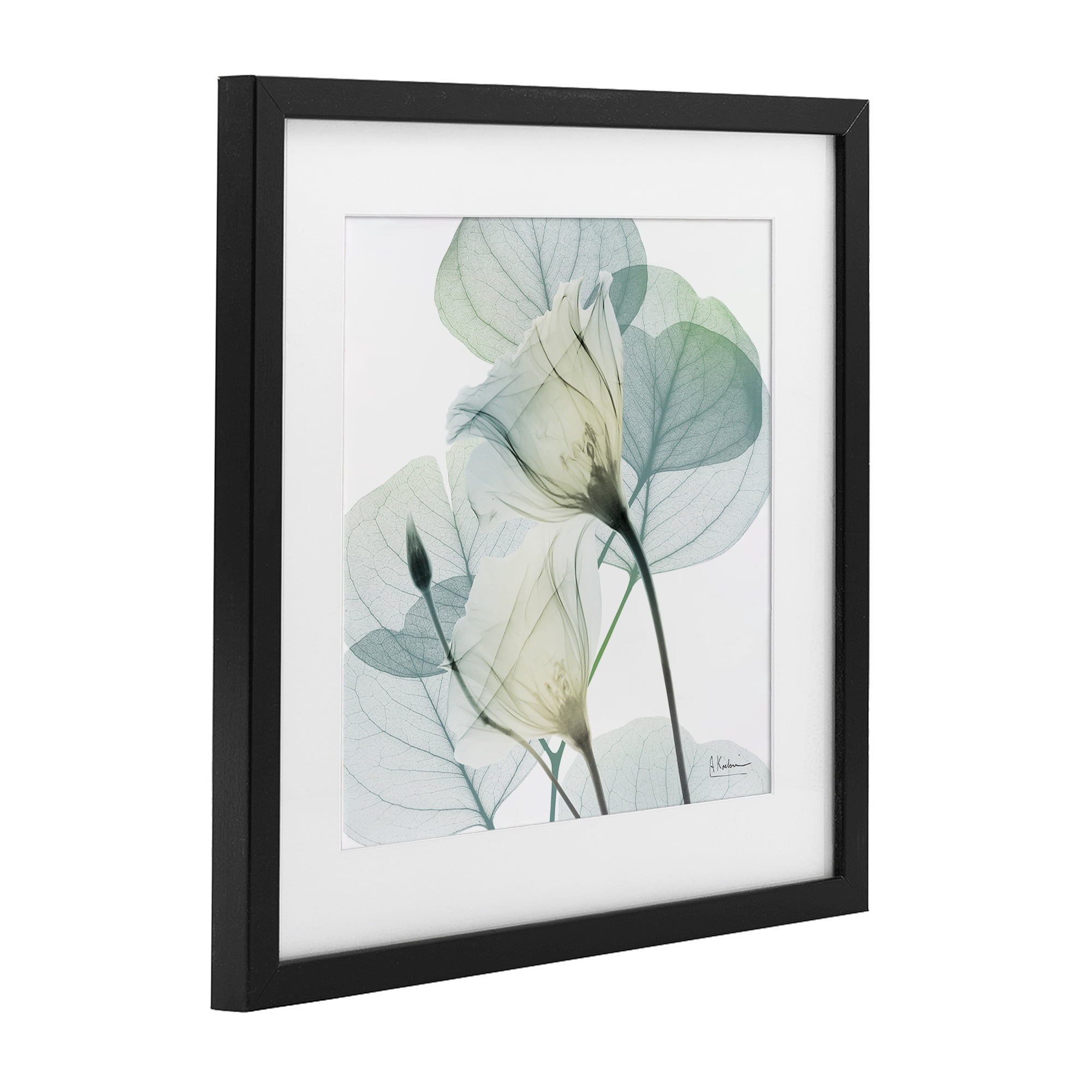 Stupell Industries Divine Fate Petals Black Framed Print Under Glass, design by Albert Koetsier