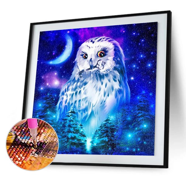 Cuadros Decorativos Kit de pintura de diamante 5D mosaico de taladro redondo de búho DIY (HJ541) DQrwqpou Nuevos Originales