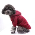 thumbnail image 3 of PEACNNG Winter Essentials  Cozy Knit Pullover Sweater for Small Dogs  Stylish & Easy-Care, 3 of 7