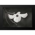 thumbnail image 2 of Geyman, Vitaly 18x13 Black Modern Framed Museum Art Print Titled - Dogwood Delicacy I BandW, 2 of 5