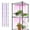 Pink, variant on EASY GROW LED Grow Lights for Seeding, Herbs and Indoor Houseplants, Full Spectrum, Auto ON/OFF Timer and Controller - 4 Pack (1.5 FT)