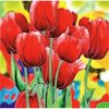 En Vogue B-60 Red Tulips - Decorative Ceramic Art Tile - 8 in. x 8 in.