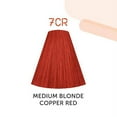 thumbnail image 3 of Kadus Demi Permanent Hair Color, 3 of 8