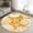 Gold, Amber, White, variant on 2x6 Runner Rugs for Hallway, Blue Coastal Washable Rug for Entryway, Kitchen Floor, Conch Nautical Summer Starfish Shell Coral Non Slip Area Rugs Low Pile Carpet for Home Decor