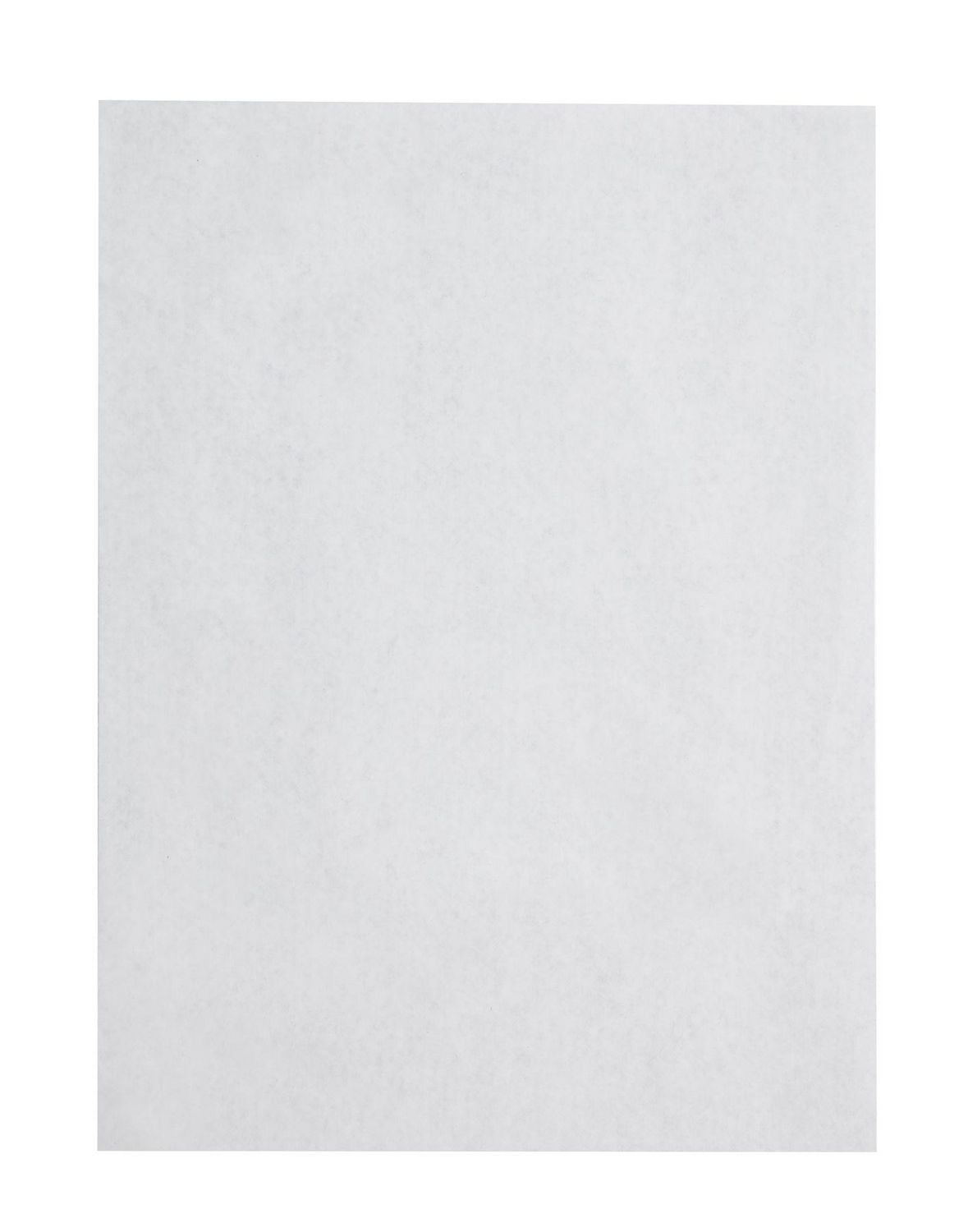 9x12 Catalog Peel & Seal Envelope, White, security tint, 5 Pack