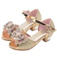 thumbnail image 5 of Splozh Girls Dress Shoes Princess High Heels Closed Toe Party Wedding Flower Girls Shoes Toddler Little Big Kid,Gold 12, 5 of 6