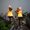 B(2PCS), variant on Halloween Pumpkin Figurine Patch Lights, with Magician Hat Stakes Led Light, Horror & Fun Display for Spooky Season, Ideal for Garden, Lawn & Pathway, Perfect Halloween Decoration & Fall Decor