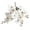 White, variant on Limei Immortal Flower Fadeless 1 Bundle Holidays Festival Fake Flower DIY Flower Crafts Useful for Home