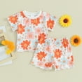 thumbnail image 2 of Bagilaanoe 2pcs Toddler Baby Girl Shorts Set Short Sleeve Flower Print T Shirt Tops + Shorts 6M 12M 18M 24M 3T 4T Kids Casual Summer Clothes, 2 of 8