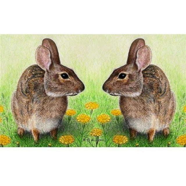 Betsy Drake DM053G Tapis de Porte pour Lapins de 30 x 50 Po