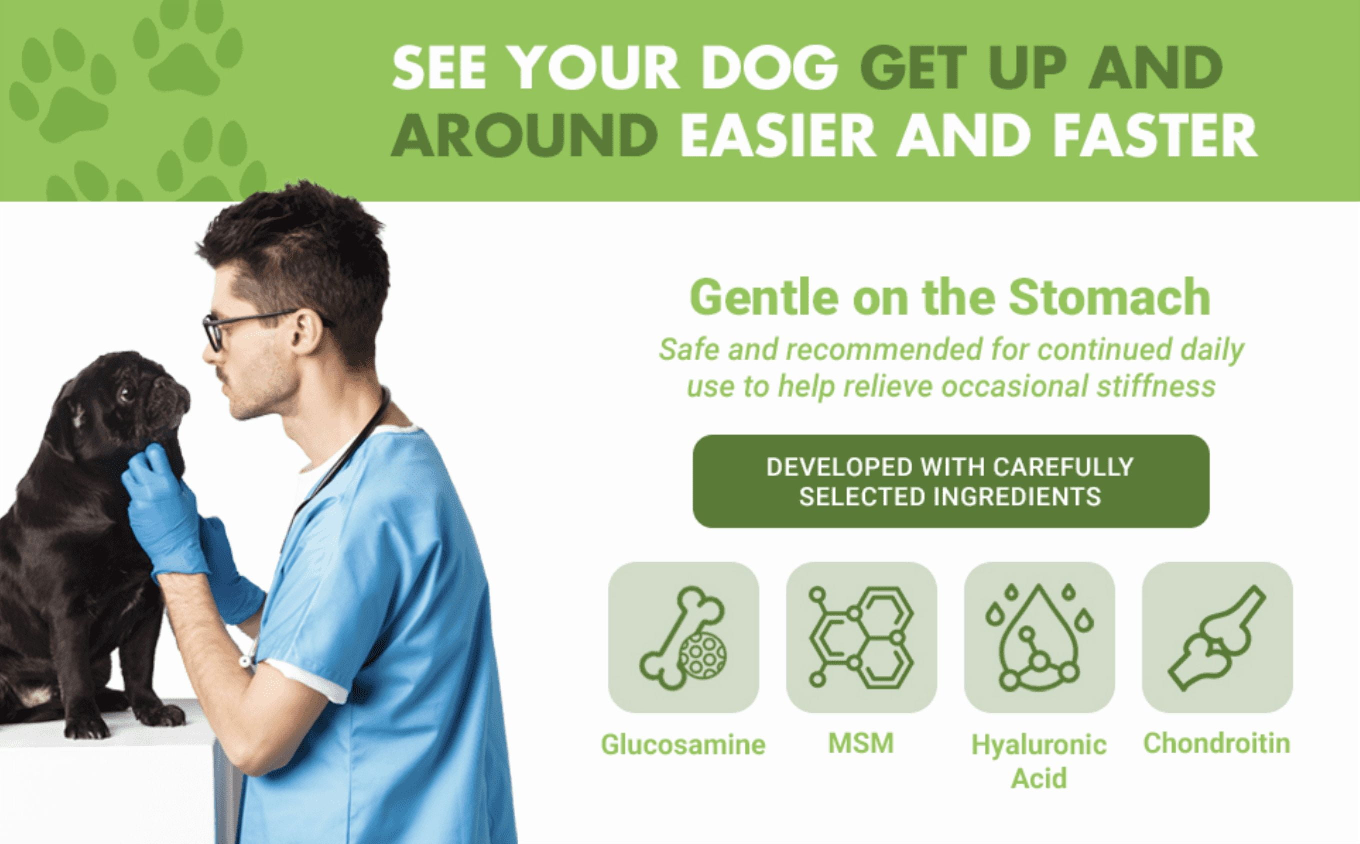 Liquid-Vet Bien-Être Articulaire Glucosamine à Action Rapide pour Chiens – Saveur Poulet, Complément pour la Santé des Articulations, 473 ml Glucosamine, 474 ml