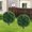 Eucalyptus, variant on 2 count Faux Boxwood  Outdoor Artificial Topiary Ball Trees |  Eucalyptus Bush & Shrub /  / No Fade / Sturdy Build / No Maintenance / with Spike / Front Porch Decor