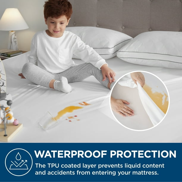 Bedsurebedding Bed Bug Proof Mattress Cover Queen Size, 100 Waterproof