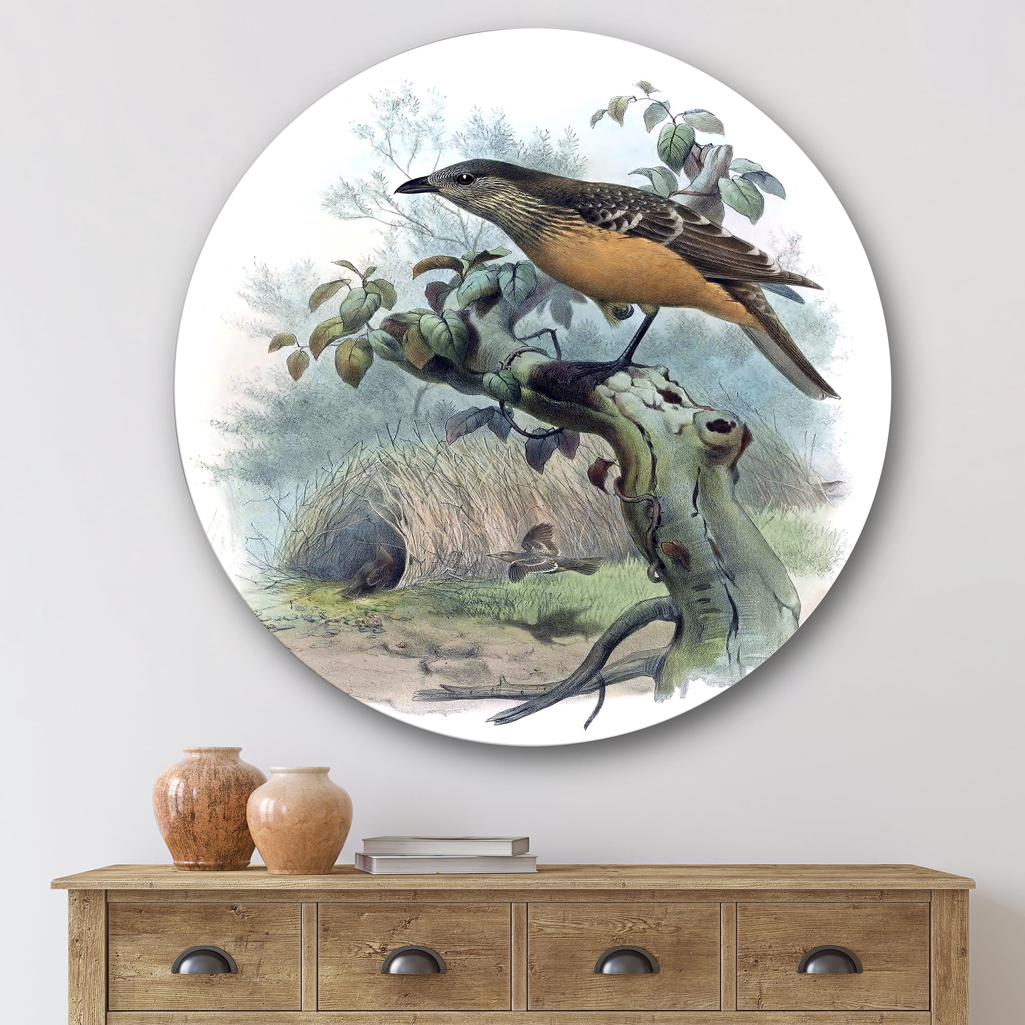 Designart 'The Paradise Birds on a Tree Branch' Traditional Circle Metal Wall Art 36x36 - Disc of 36