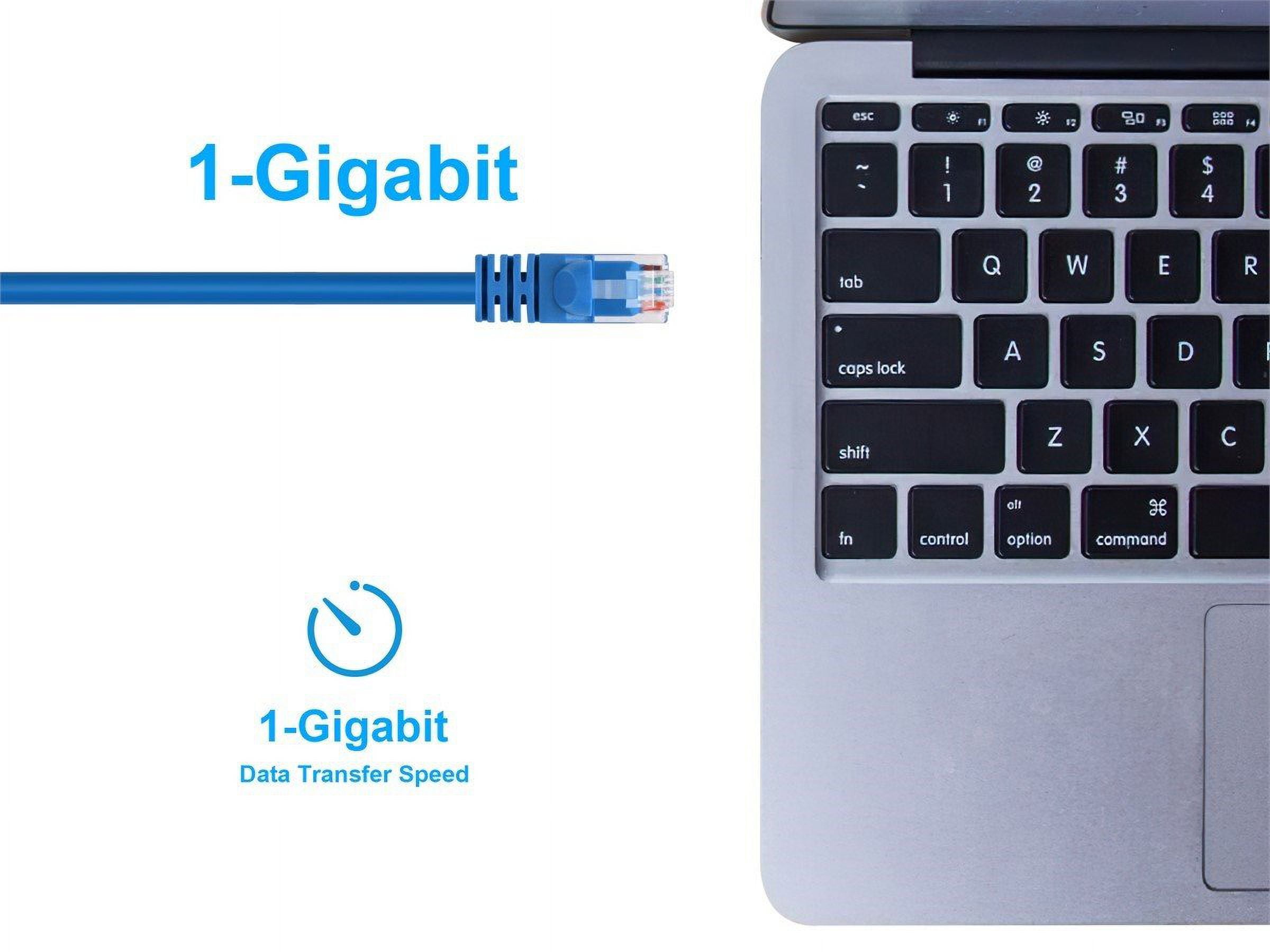 Monoprice Cat6 24AWG UTP Ethernet Network Patch Cable 100ft Blue
