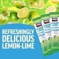 thumbnail image 3 of Force Factor Liquid Labs Electrolyte Powder, Hydration Powder with 5 Electrolytes, Vitamins, Minerals & Antioxidants, Lemon Lime, 20 Stick Packs, 3 of 12