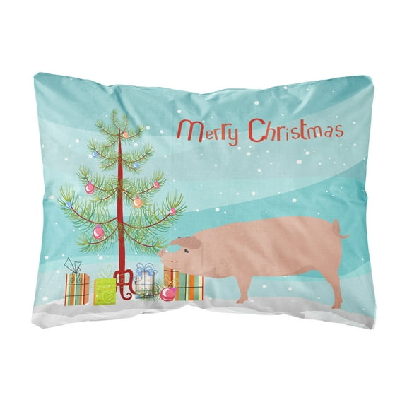 Carolines Treasures BB9299PW1216 Landrace Pig Christmas Canvas Fabric Decorative Pillow, Teal, 12H x16W,
