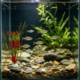 thumbnail image 6 of SouMaox Artificial Aquarium Flowers, Lifelike Plastic Seaweed Decor for Fish, Soft Kelp Ornaments for Fish Hideout and Breeding, Realistic Underwater Landscape, 1.69" x 1.02" x 13.78" Red, 6 of 6