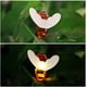 thumbnail image 4 of Guirnalda de luces solares de abeja de 6,5 m, 30 luces LED, para decoración interior y exterior, color blanco cálido, 4 of 5
