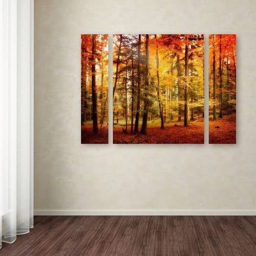 Trademark Fine Art "Brilliant Fall Color" Canvas Art by Philippe Sainte-Laudy Three Panel Set