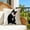 A, variant on Zenithome Soft Durable Vivid Cute Animals Print Pillowcase 17.7In X 17.7In In Multicolor for Sofa Bedroom Car Indoor Outdoor Festive Decoration
