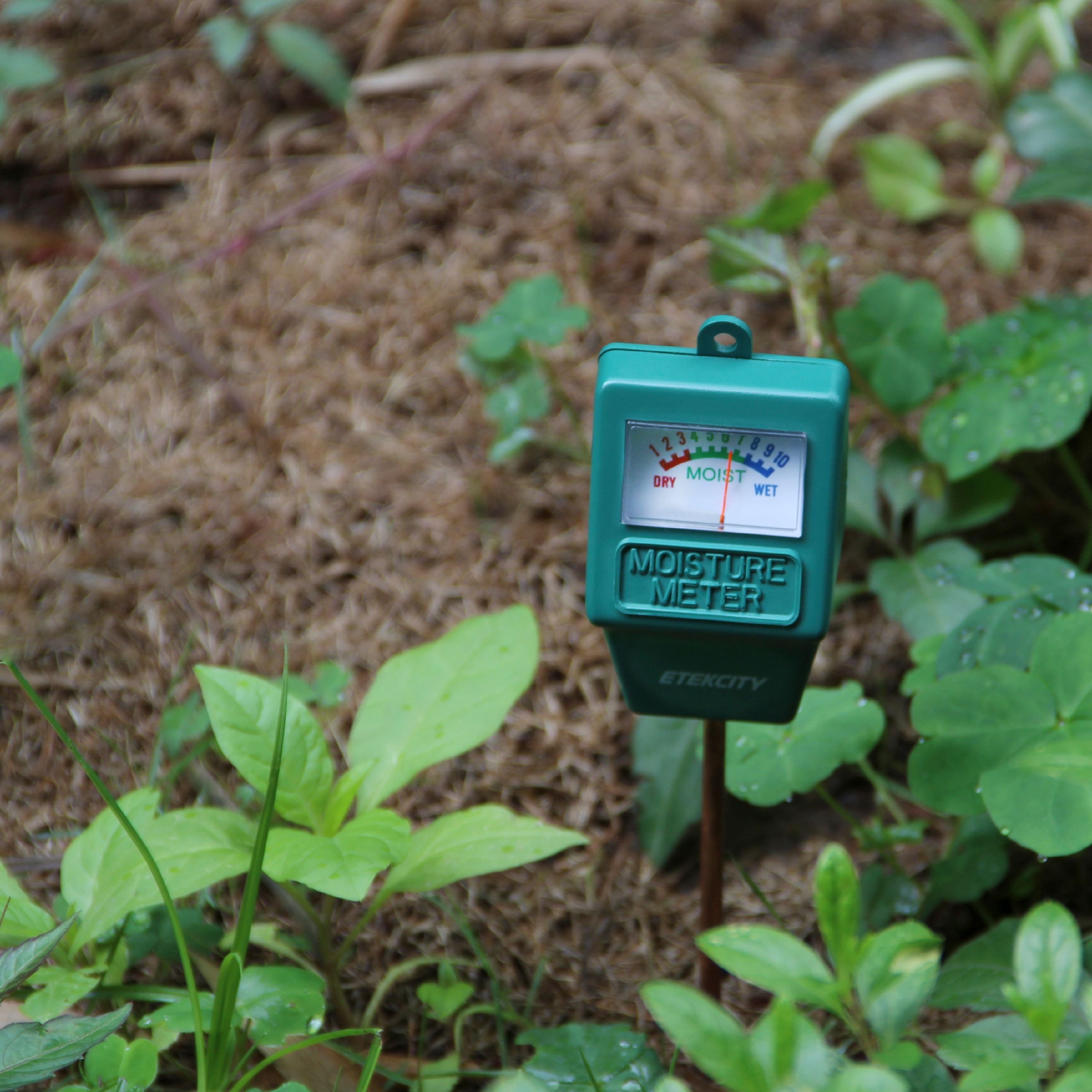 Etekcity Indoor/Outdoor Soil Moisture Sensor Meter, Plant