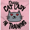 thumbnail image 2 of Crazy Cat Lady in Training Funny Cute Hoodie Sweatshirt Women Brisco Brands 2X, 2 of 6