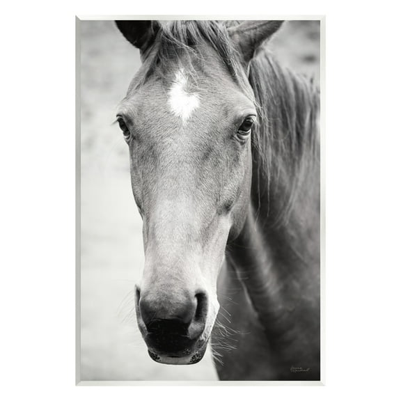 Stupell Industries Moke Lake Horse Photography Animals & Insects Photography Unframed Art Print Wall Art, 10 x 15