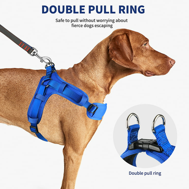 DDOXX Air Mesh Step-in Dog Harness - Adjustable Chest Harness Dogs - XS  (Blue), XS - 0.6 x 12.6-17.3 in - Food 4 Less
