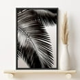 thumbnail image 2 of PixonSign Framed Canvas Print Wall Art Duotone Palm Leaves and Gray Background Nature Plants Photography Modern Art Chic Relax/Calm Dark Black and White for Living Room, Bedroom, Office - 24"x36", 2 of 5