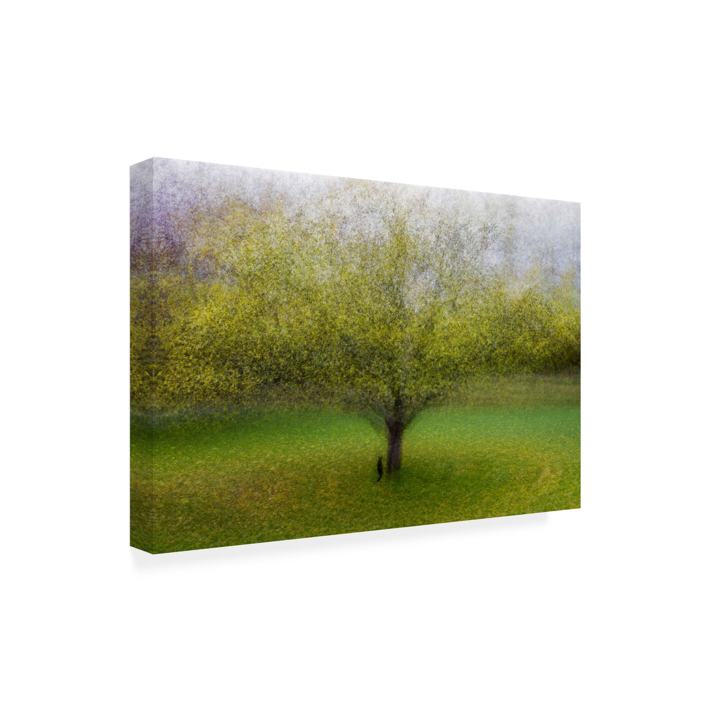 Arne Ostlund 'The Cat By The Tree' Canvas Art