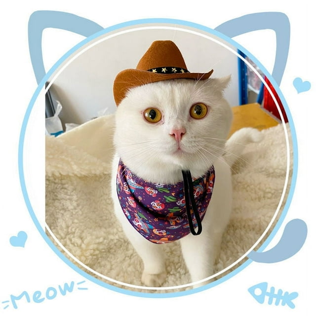 Chapeau de Cowboy Élégant en Tissu Non Tissé pour Animaux de Compagnie, Doux, Confortable, avec Sangles Réglables, Casquettes pour Fêtes de Rue, Accessoires Photo pour Chats et Chiens
