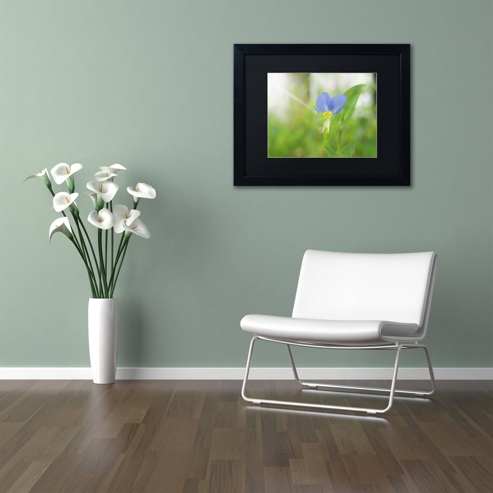Trademark Fine Art 'Asiatic Dayflower' Canvas Art by PIPA Fine Art, Black Matte, Black Frame