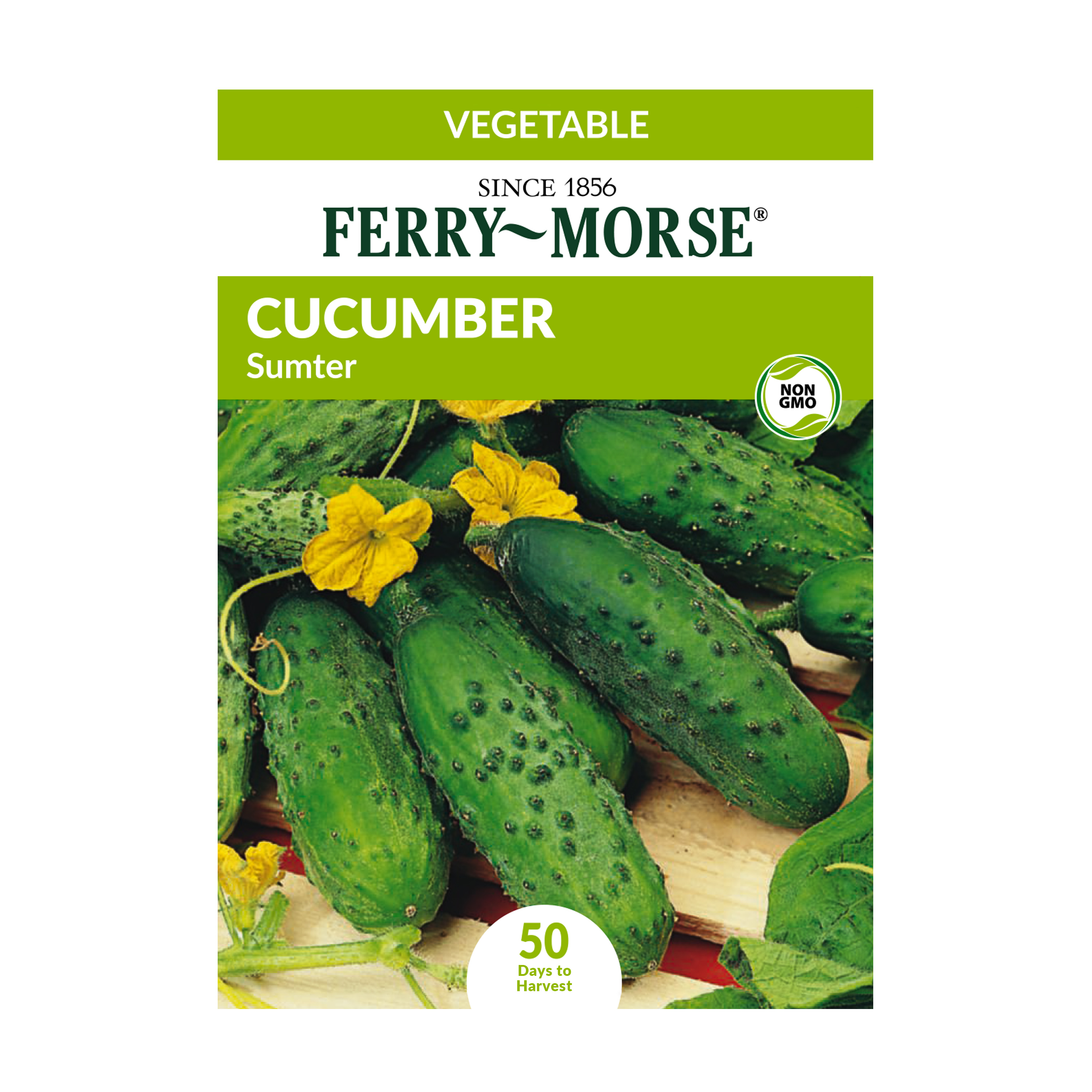 FerryMorse 65MG Cucumber Sumter Vegetable Plant Seeds Packet