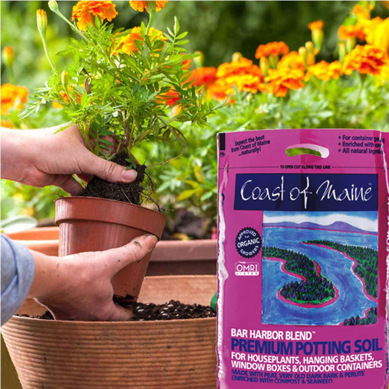 Coast Of Maine Organic Potting Soil - Bar Harbor Blend, OMRI Listed - 8 QT 6 Pack