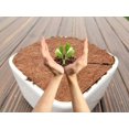 thumbnail image 4 of Coconut Plant Mats,8 Pieces Coconut Mat Plant Protection Disc Winter Protection for Home Hotel Garden(30cm), 4 of 5