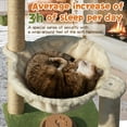 thumbnail image 5 of Fantasreen 30" Cat Tree with Hammock, Track Ball Toy, Small Scratching Post for Indoor Cats, 5 of 8