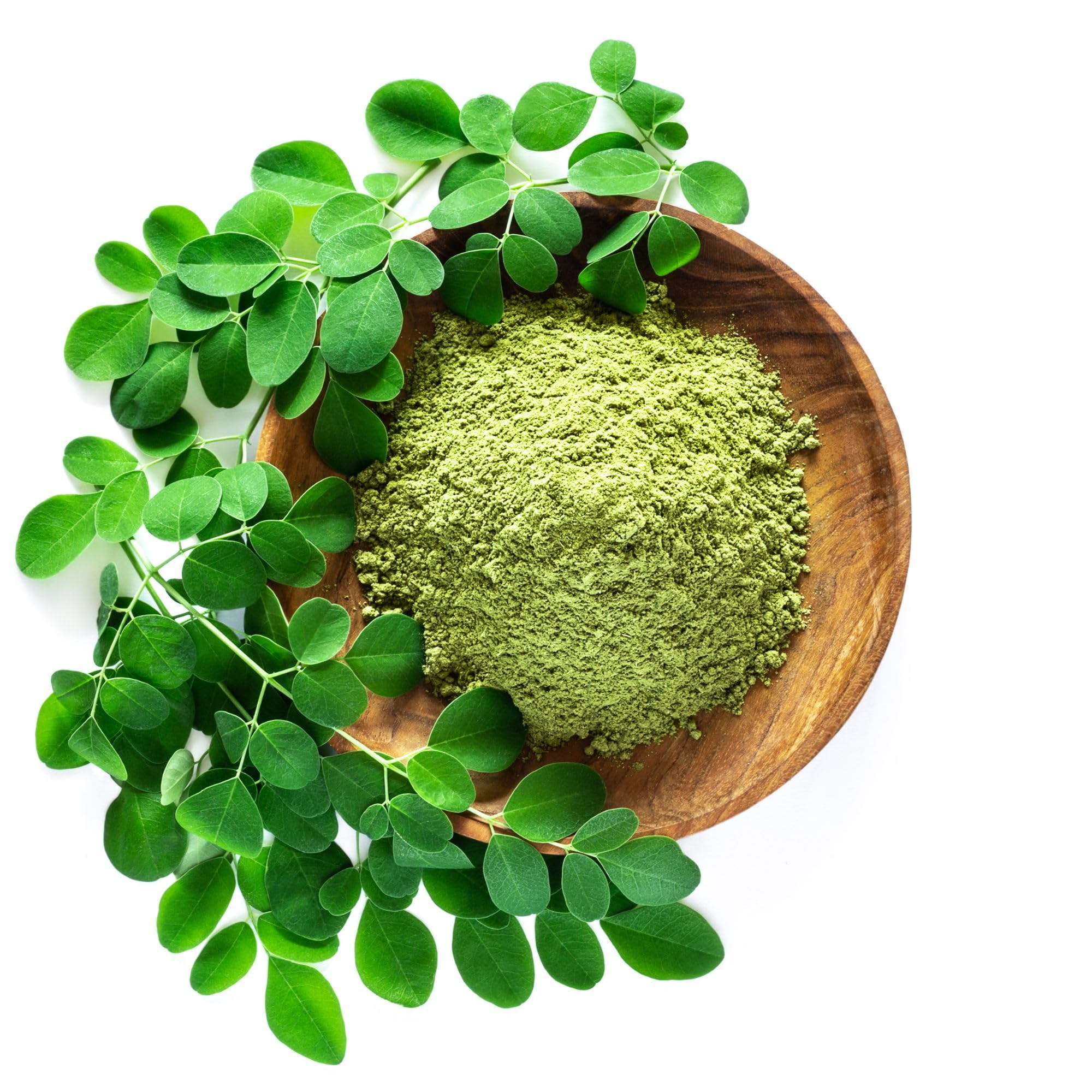 Mountain Valley Seed Company, Moringa Seeds for Planting, 10 g Packet,  Perennial Tree - Walmart.com