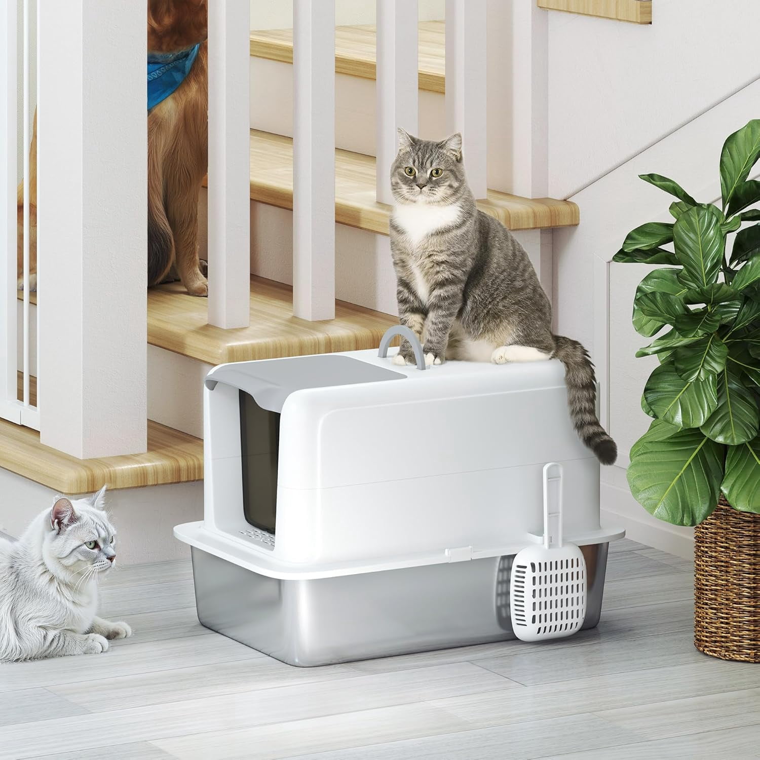 Stainless Steel Cat Litter Box, Extra Large 2 in 1 Metal Kitty Litter Pan with High Enclosure, Removable Lid & Scoop, Filter Bags, Easy to Clean, for Small to Large Kittens, White