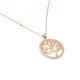 thumbnail image 1 of Collar Gargantilla Ametrinaa con Dije Árbol de la Vida Chapa de Oro 18k, 1 of 5